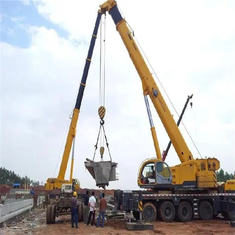 新干小型吊机出租电话|厂房设备吊装方案|24小时服务覆盖